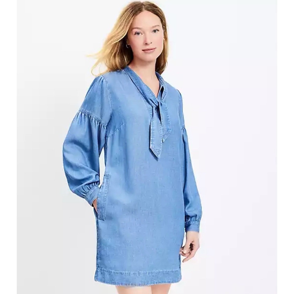 Loft Womens Size XL Blue‎ Chambray Mini Dress Long Sleeve Tie Pockets Capsule